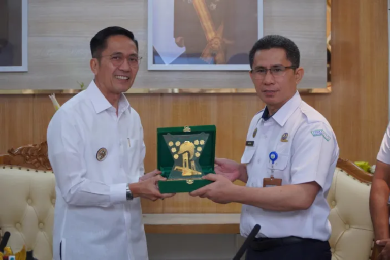 Pemerintah Kota Palembang