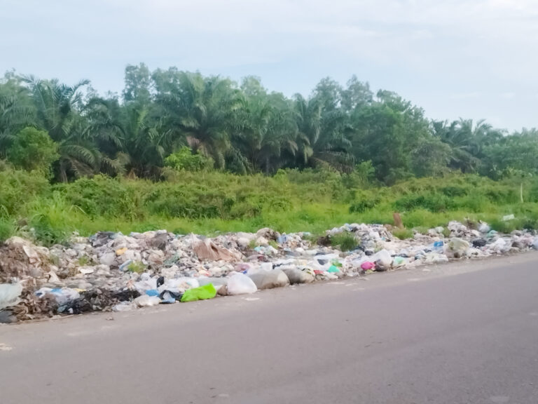 Pinggiran jalan Jakabaring Selatan dekat ke arah Kecamatan Rambutan, Banyuasin, menjadi 'surga sampah'.