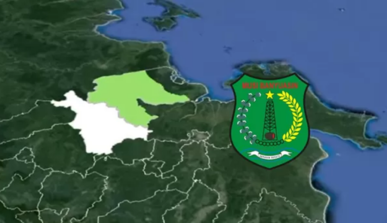 Peta Kabupaten Musi Banyuasin.